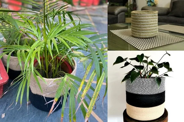 basket planter